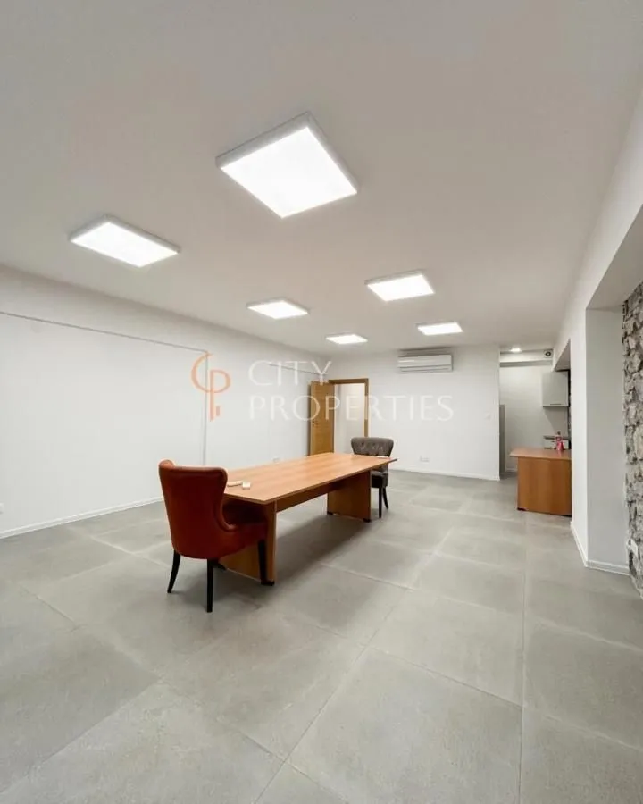 Izdavanje, poslovni prostor, 120m², Centar, Podgorica