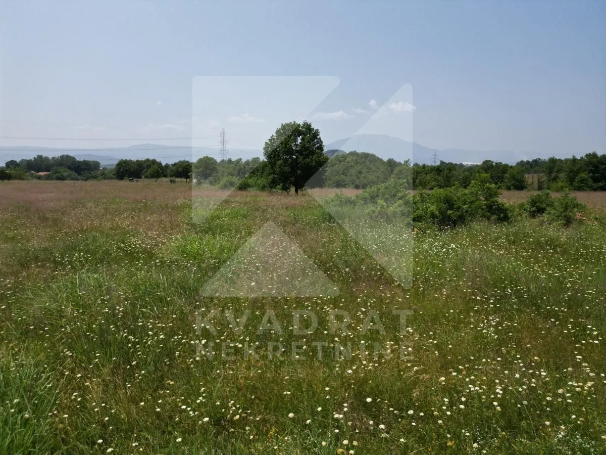 Prodaja, plac, 13849m², Pričelje, Podgorica