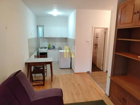 Izdavanje, jednosoban stan, 36m², Telep, Novi Sad Sve Podlokacije - image 2