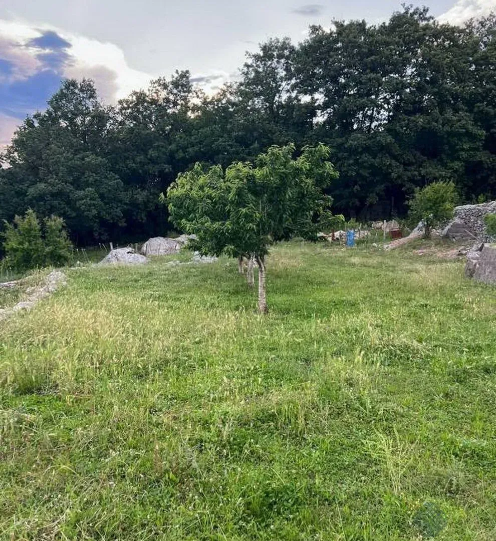 Prodaja, plac, 30000m², Danilovgrad, Crna Gora