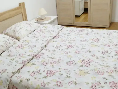 Rent, one bedroom apartment, 43m², Central Point, Podgorica - image 4