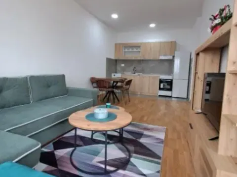 Izdavanje, jednosoban stan, 45m², Zabjelo, Podgorica - image 2