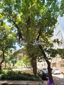 Izdavanje, dvosoban stan, 58m², Cvijićeva, Palilula Sve Podlokacije - image 8