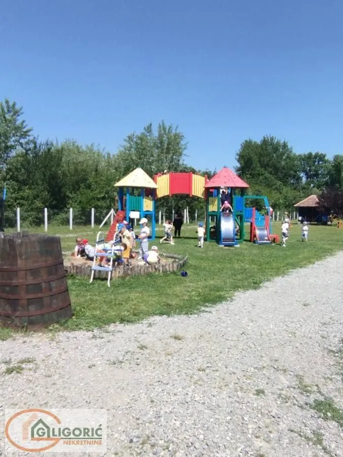 Children's playground in the yard with play equipment and a lawn.