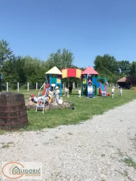 Children's playground in the yard with play equipment and a lawn. - image 19