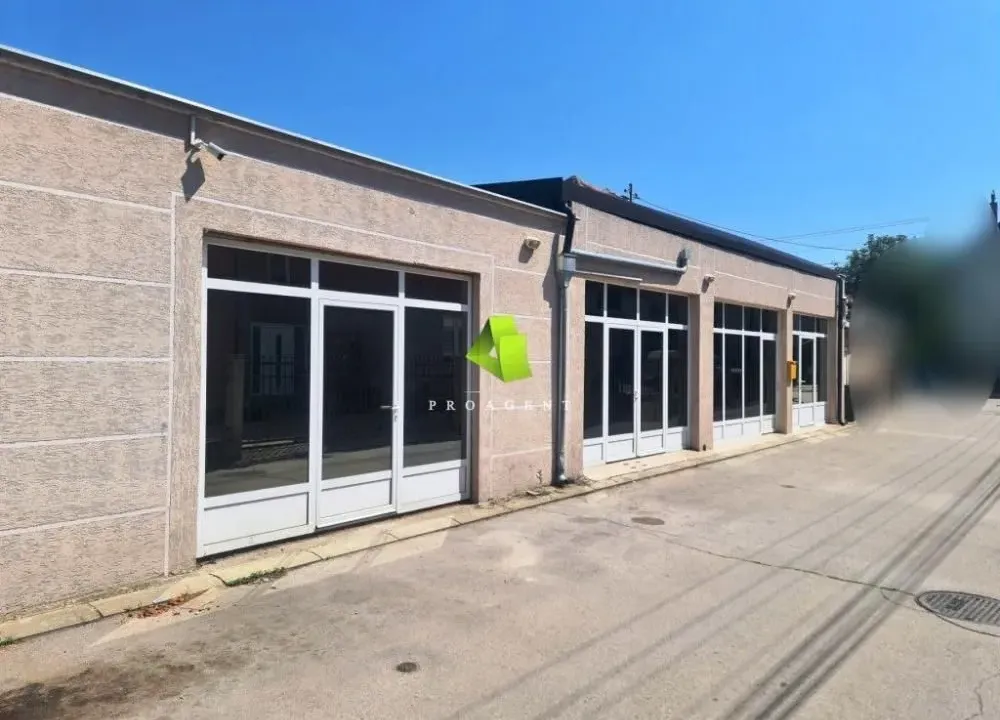 Izdavanje, poslovni prostor, 200m², Crveni Krst, Niš