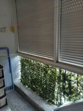 An enclosed terrace with lowered shutters and decorative artificial greenery. - image 7