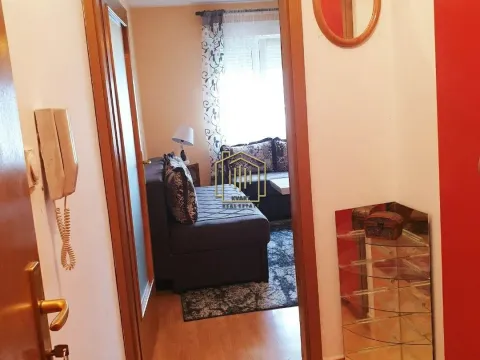 Prodaja, stan, 40m², Zagorič, Podgorica - image 4