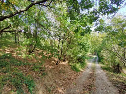 Sale, land lot, 1100m², Irig, Srbija - image 7