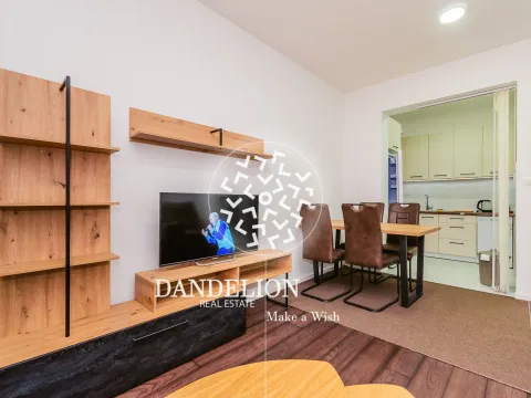 Izdavanje, jednosoban stan, 46m², Vezirov Most, Podgorica - image 13