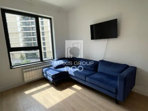 Izdavanje, dvosoban stan, 50m², Savski Venac, Beograd - image 4