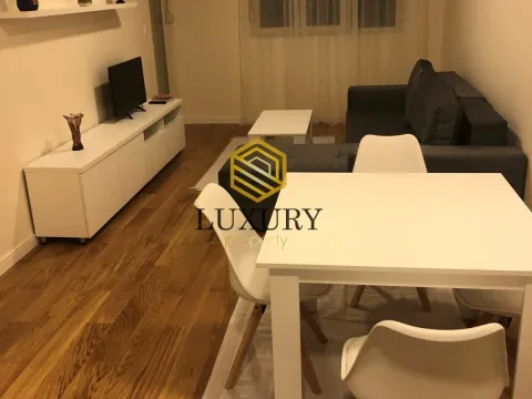 Izdavanje, jednosoban stan, 47m², Central Point, Podgorica - image 1