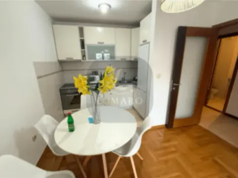 Izdavanje, jednosoban stan, 45m², Stari Aerodrom, Podgorica - image 2