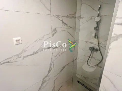 Izdavanje, jednosoban stan, 47m², Stari Aerodrom, Podgorica - image 10