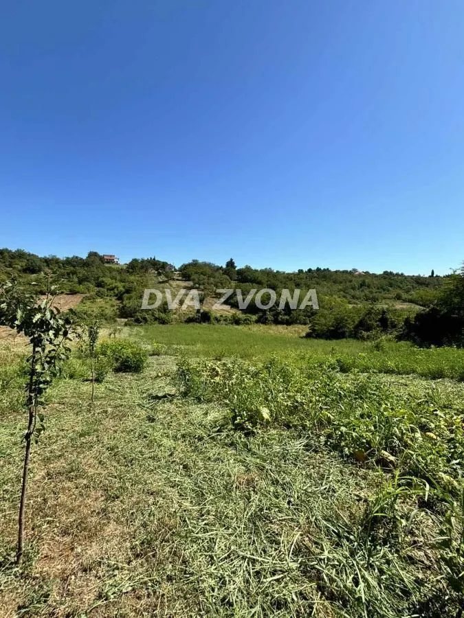 Prodaja, plac, 6000m², Čortanovci, Inđija
