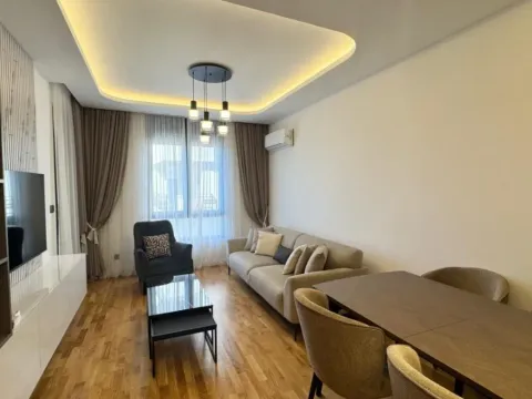 Izdavanje, jednosoban stan, 47m², City Kvart, Podgorica - image 2
