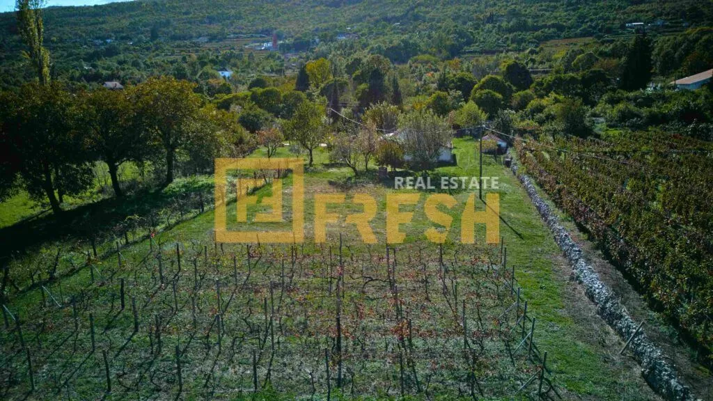 Prodaja, plac, 3891m², Danilovgrad, Crna Gora