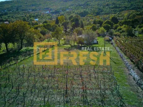 Prodaja, plac, 3891m², Danilovgrad, Crna Gora - image 13