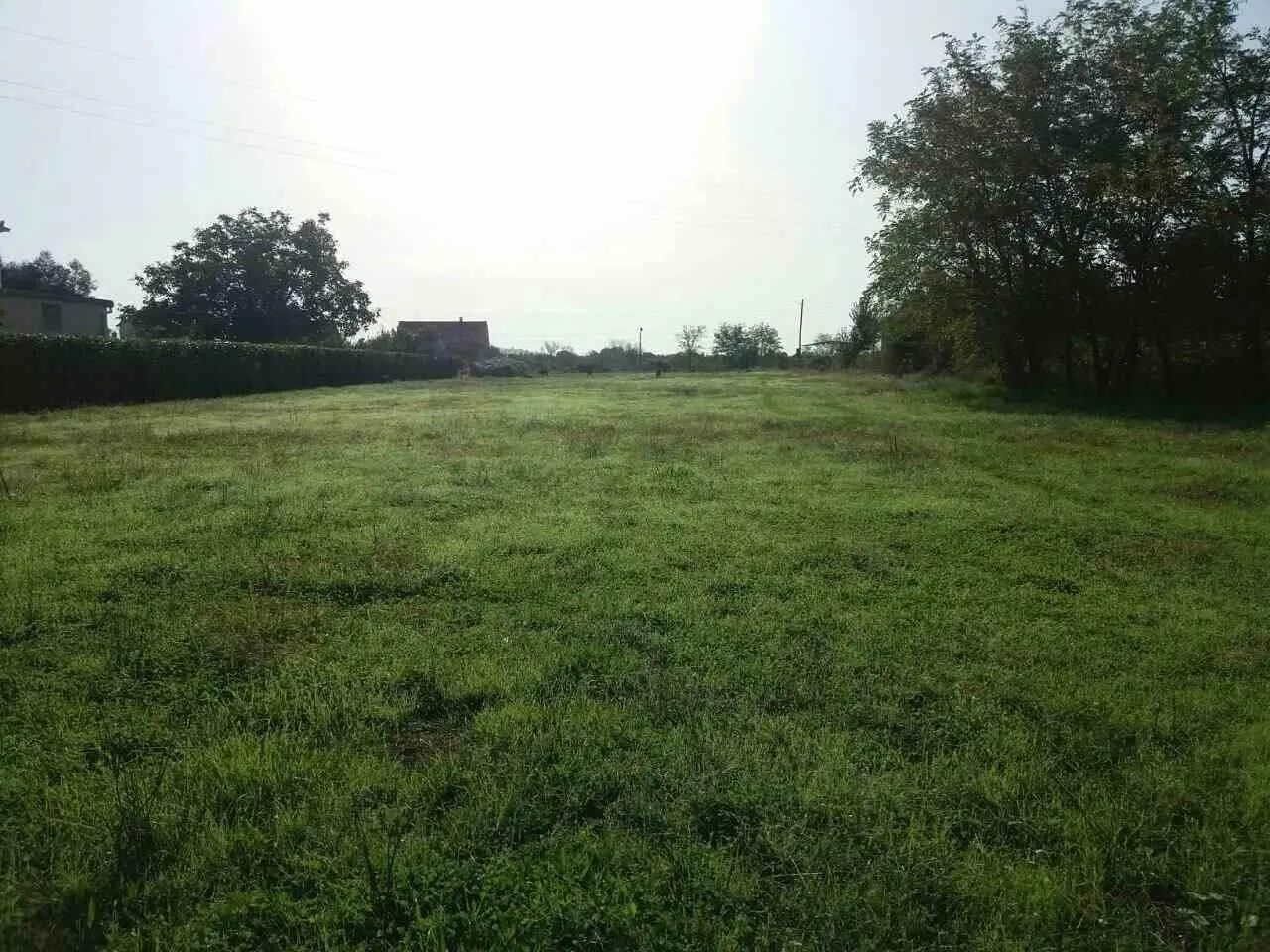 Prostrana travnata parcela okružena drvećem pod sunčanim nebom.