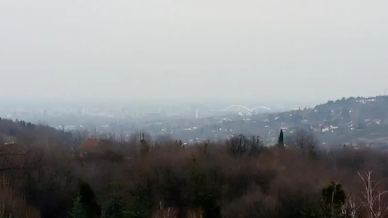 Sale, office space, 850m², Sremska Kamenica, Petrovaradin