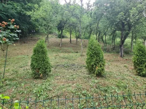 Sale, house, 86m², Banja Vrdnik, Irig - image 10