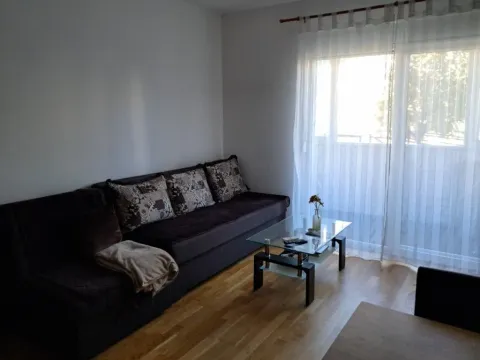 Izdavanje, garsonjera, 29m², Ljubović, Podgorica - image 9