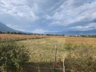 Prodaja, plac, 910m², Danilovgrad, Crna Gora - image 9