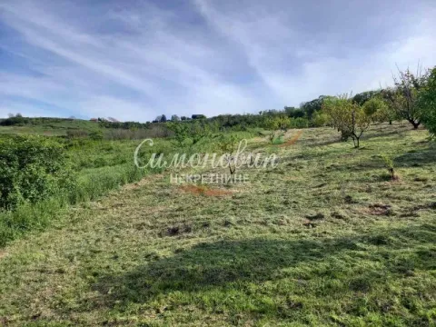 Prodaja, plac, 2100m², Novi Slankamen, Inđija - image 4