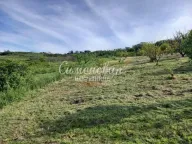 Sale, land lot, Novi Slankamen, Inđija - image 4