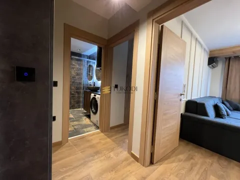 Izdavanje, jednosoban stan, 40m², Zvezdara Sve Podlokacije, Beograd - image 6