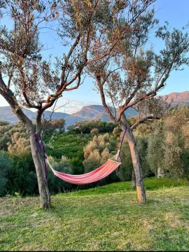 Yard with a hammock stretched between trees and a mountain view. - image 17