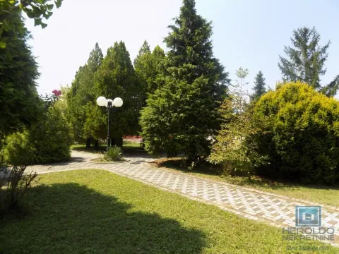 Izdavanje, poslovni prostor, 270m², 7. juli, Paraćin - image 13