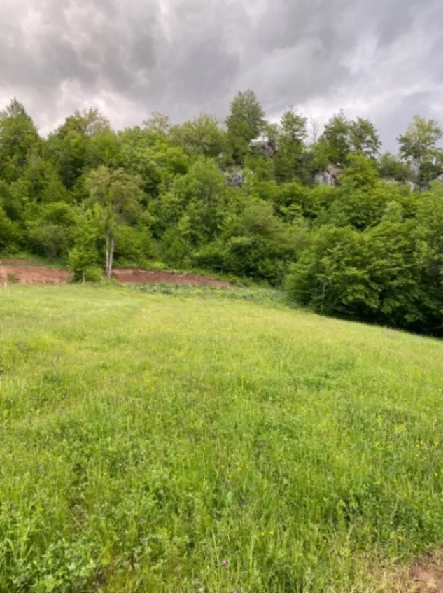 Sale, land lot, 1728m², Moračko Trebaljevo, Kolašin