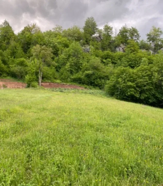 Sale, land lot, 1728m², Moračko Trebaljevo, Kolašin