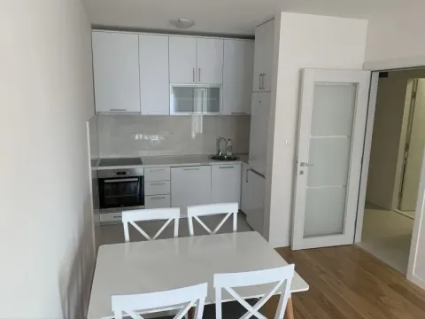Rent, one bedroom apartment, 49m², Central Point, Podgorica - image 4