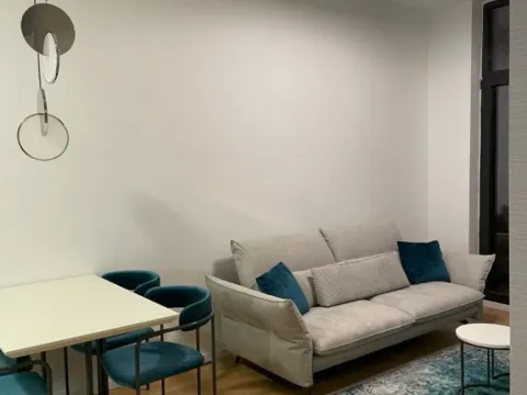 Izdavanje, jednosoban stan, 40m², Blok 9, Podgorica - image 4