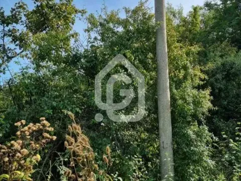 Sale, land lot, 2500m², Baćevac, Barajevo - image 3