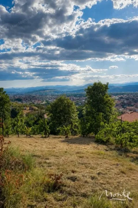 Prodaja, plac, 1272m², Doljani, Podgorica
