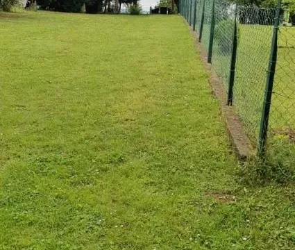 Prodaja, kuća, 360m², Irig, Srbija - image 14