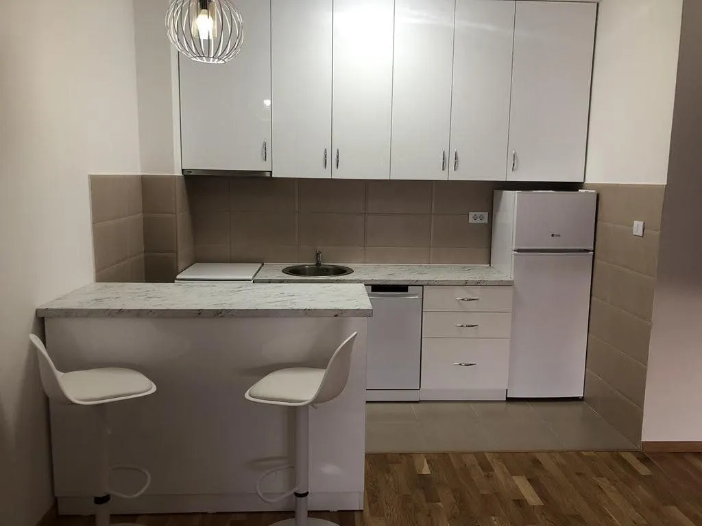 Izdavanje, jednosoban stan, 50m², Tuški Put, Podgorica