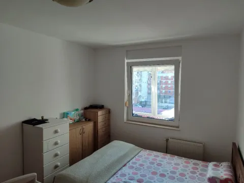 Prodaja, dvosoban stan, 45m², Detelinara, Novi Sad Sve Podlokacije - image 2