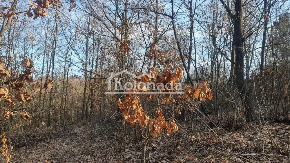 Prodaja, plac, 3000m², Babe, Sopot