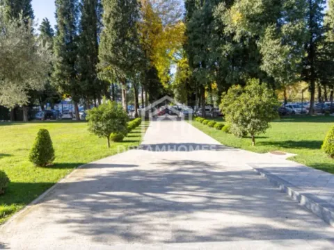 Rent, office space, 66m², Centar, Podgorica - image 9