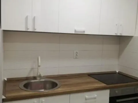 Rent, two bedroom apartment, 48m², Bulevar Oslobodjenja, Novi Sad Sve Podlokacije - image 3