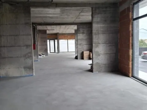 Prodaja, poslovni prostor, 243m², Višnjica, Palilula Sve Podlokacije