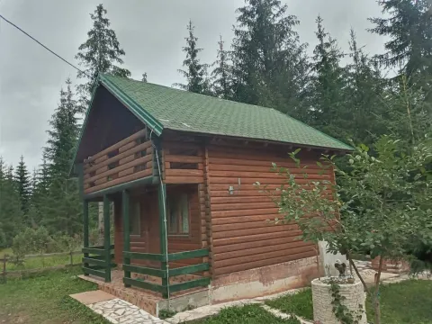Drvena brvnara sa zelenim krovom okružena borovom šumom. - image 7