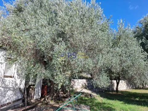 Prodaja, plac, 1150m², Bar, Crna Gora - image 3