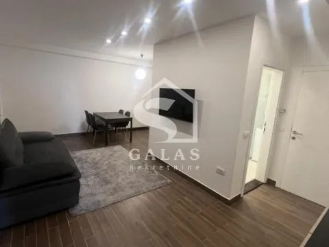 Izdavanje, dvosoban stan, 47m², Palilula Sve Podlokacije, Beograd - image 2