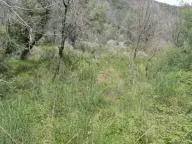 Prodaja, plac, 500m², Kumbor, Herceg Novi - image 2