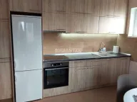 Izdavanje, dvosoban stan, 40m², Ledine, Beograd - image 9